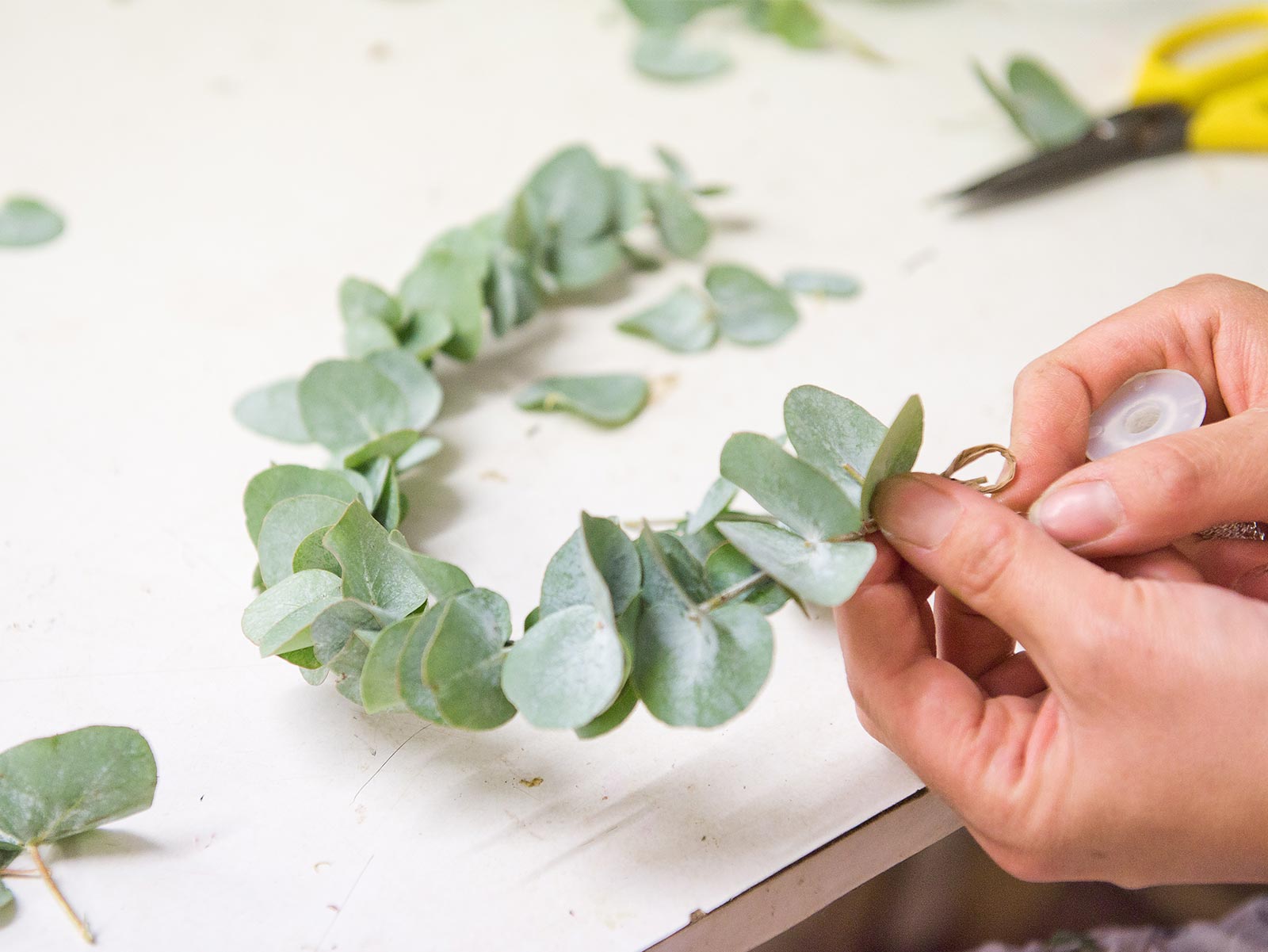 couronne eucalyptus plante confection cours art floral