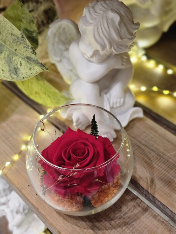 Rose éternelle au paradis des fleurs fleuriste neuville sur saone
