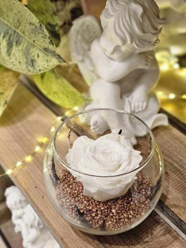 Rose éternelle blanche livraison neuville sur saone fleuriste