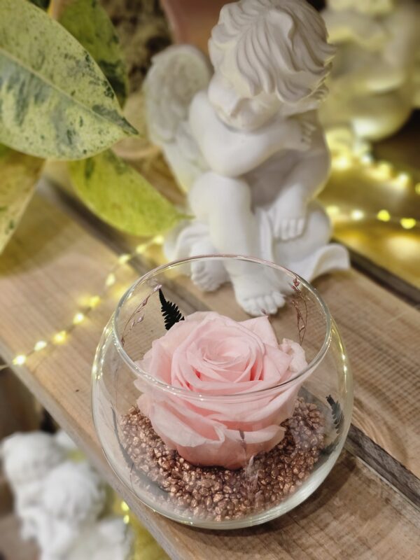 rose stabilisé fleuriste neuville sur saone livraison