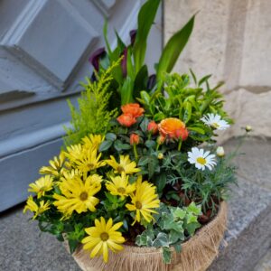 Coupe de plante de saison