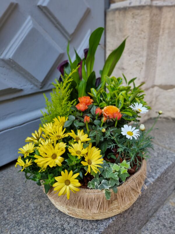 Coupe de plante de saison